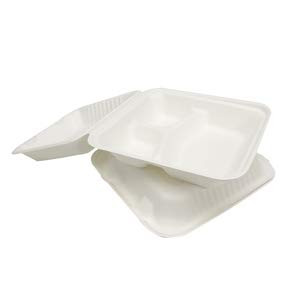 EDHL-81 Empress Earth Bagasse Hinged Container Molded Fiber X0043C88YR - White New