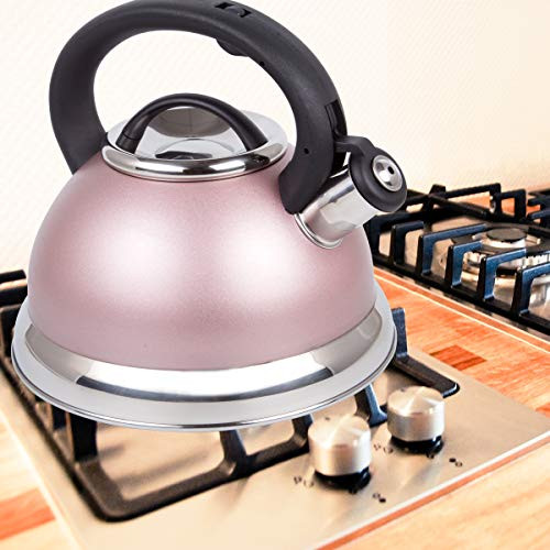 Creative Home Alexa 3.0 Quart Stainless Steel Whistling Tea Kettle B0753M2FHS New