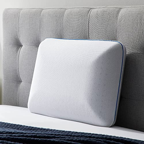 Dr. Oz Good Life King Size Memory Foam Pillow OZGLKKMPVGB - White New