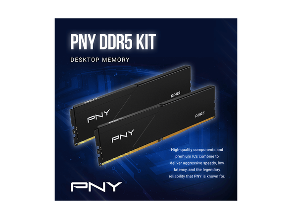 PNY Performance 32GB (2 x 16GB) DDR5 5600 (PC5 44800) Desktop Memory Model