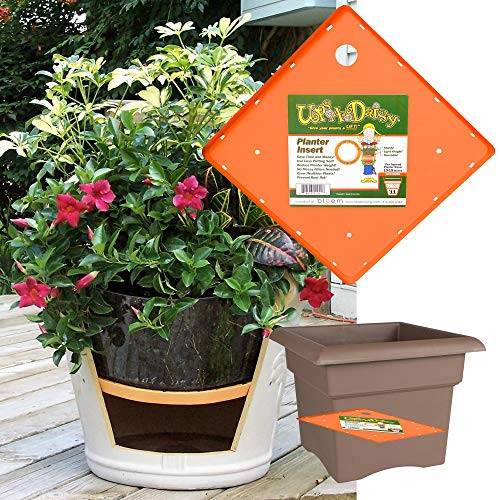 Bloem Lawn Backyard Gardening Accessories 15" Square Ups-A-Daisy B00FGPPNAQ New