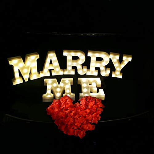 Marquee Letter Lights, 1000 PCS Red Silk Roses Light Up Letter - B08L4BYDDL