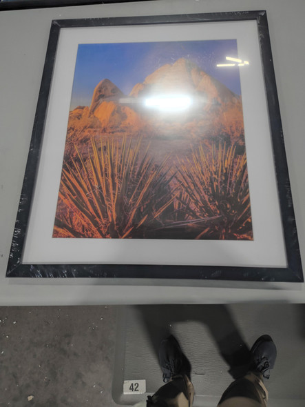 GENERIC PICTURE FRAME, FITS PICTURES UP TO 19X23 (21X25) - BLACK