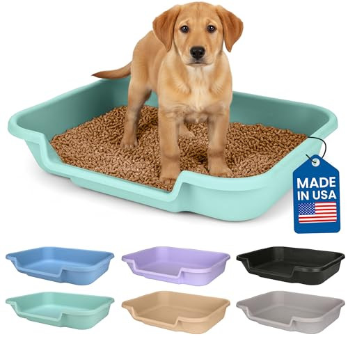 PuppyGoHere Large Dog Indoor Litter Box Up to 20 Lbs, Apple Green New