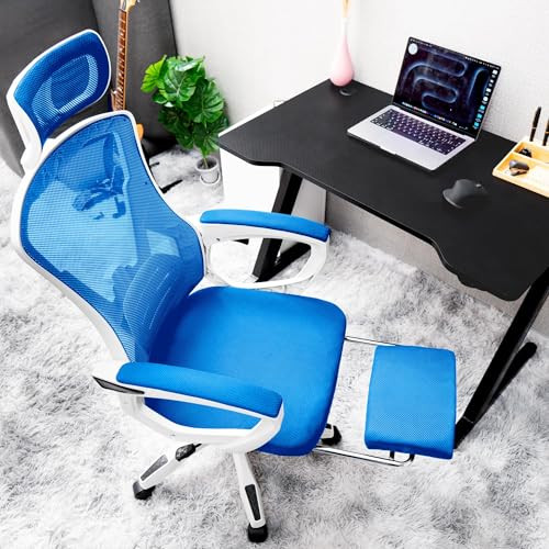 QuDez Ergonomic Office Chair w/Reclining High Back Adjustable Headrest Foot New