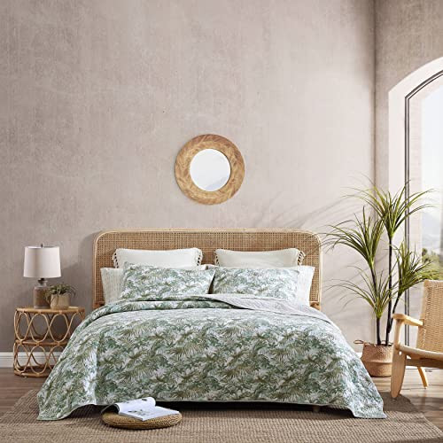 Tommy Bahama Queen Quilt Set Reversible Cotton Bedding Matching Shams - Green New
