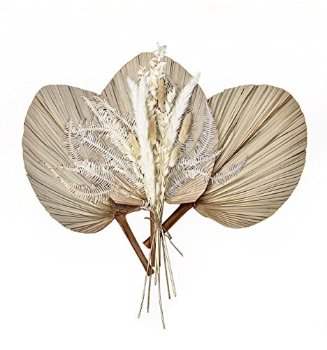 Chrissenia Dried Palm Leaves 18" with Boho Dried Flowers | B09Z6537KY