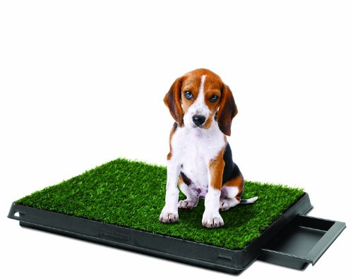 PetZoom Pet Park Deluxe 3-Piece Dog Relief System B007X36BSM - BLACK New