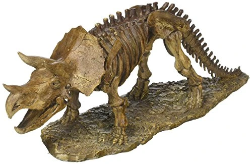 Home Decor Triceratops Dinosaur Skeleton Statue New
