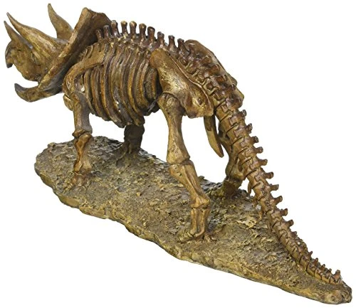 Home Decor Triceratops Dinosaur Skeleton Statue New