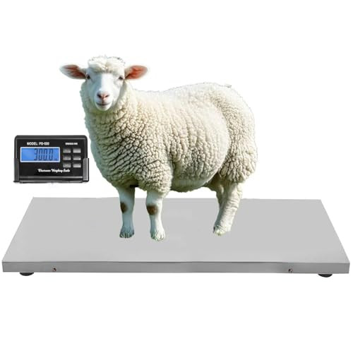 Spritool Stainless Steel Platform Digital Scale, 0 - 300 Kg - Silver New