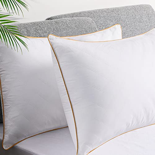 LUTE King Size Pillows Set of 2, Down Alternative Pillows (B08CXLTXFX) - White New