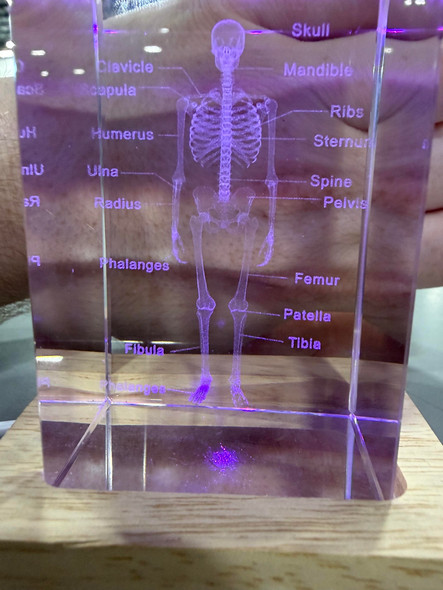 GENERIC LASER ENGRAVED CRYSTAL - HUMAN SKELETON - LED BASE