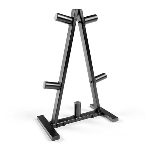 CAP BARBELL A FRAME OLYMPIC PLATE RACK DARK GRAY New