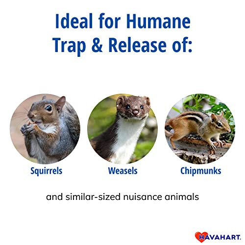 Havahart Small 1-Door Live Animal Trap Safety Shield Comfort Grip Handle New