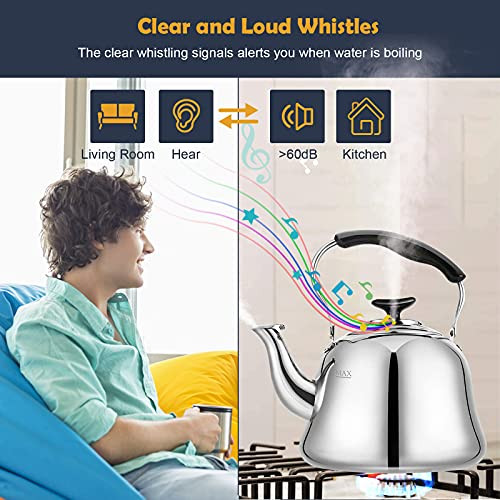 Tea Kettle 2Qt, Food-Grade Stainless Steel Teapot AMF-2L0905 - Silver