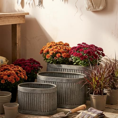 French Country Oval Chubby Belly Planters, Grey, Set of 3, 24.5, 20, 14.5 " New
