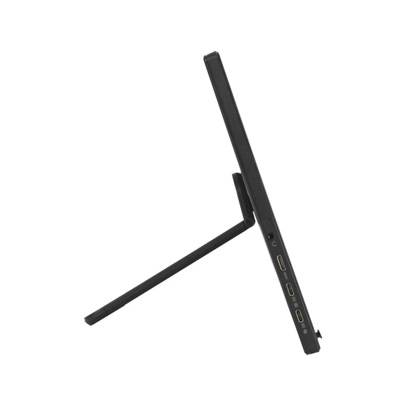 ASUS ZenScreen MB169CK 15.6" 1080p Portable IPS Monitor - USB-C & Mini-HDMI