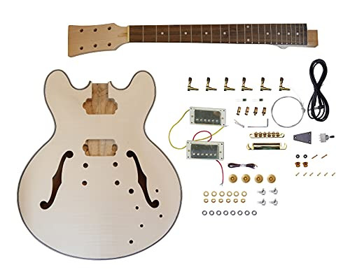Leo Jaymz DIY Hollow Body Electric Guitar Kit - G-335 New