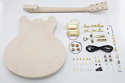 Leo Jaymz DIY Hollow Body Electric Guitar Kit - G-335 New