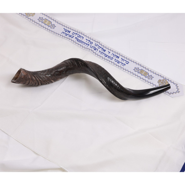 HALLELUYAH 22"-24" YEMENITE KUDU SHOFAR - NATURAL New