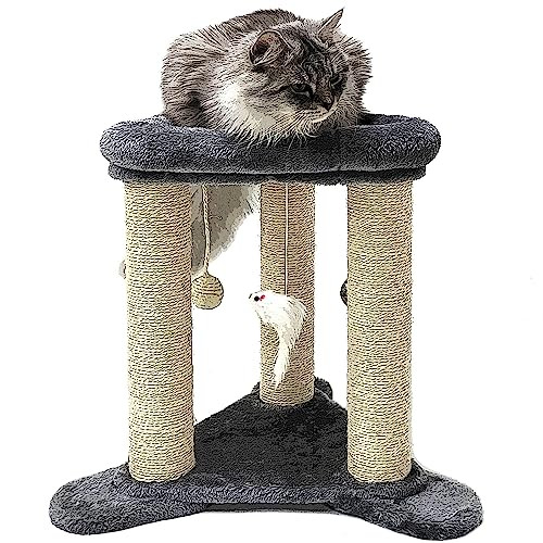 HeyKitten Cat Scratching Posts with Cushion Perch Bed 3-Post Sisal Rope Wrapped New