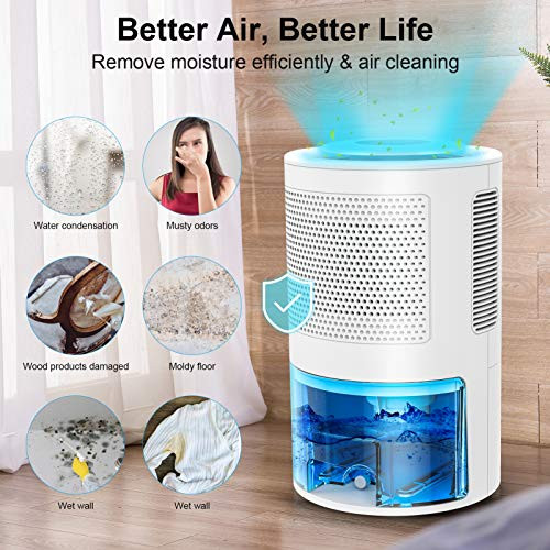LONOVE LARGE 68 OZ(2000ML) DEHUMIDIFIER - WHITE