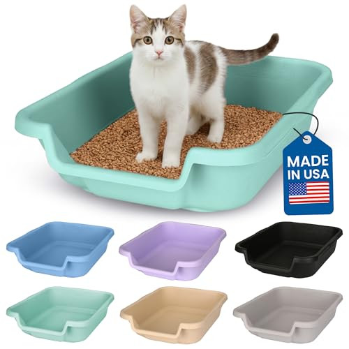 KittyGoHere Senior Cat Litter Box, Small Litter Pan, Apple Green New