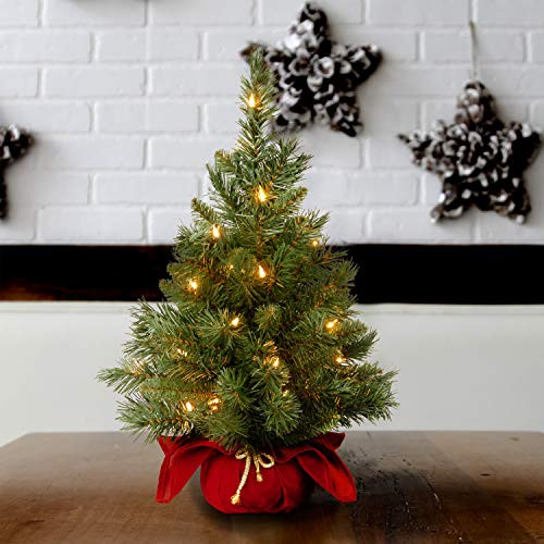 National Tree Company 24in Pre-Lit Majestic Fir Mini Christmas Tree New