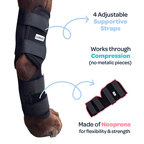 Labra Dog Rear Leg Hock Joint Compression Wrap Supportive Brace - Medium New