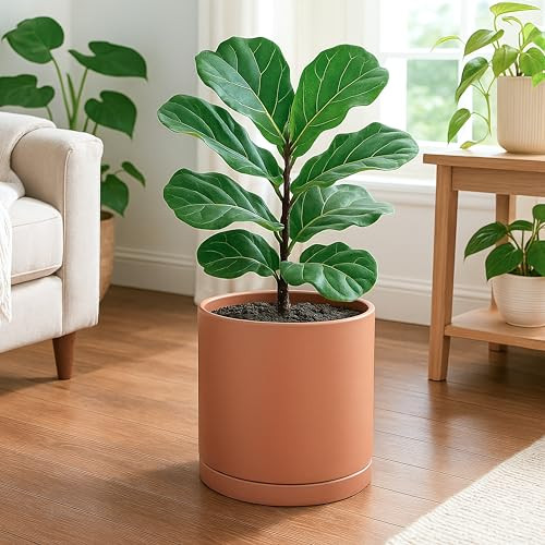 D'VINE DEV TERRACOTTA PLANT POT WITH SAUCER, 10 INCH - TERRACOTTA