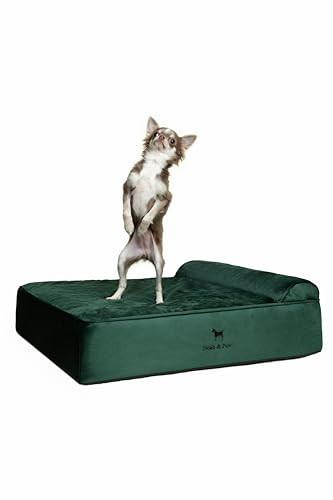 NOAH & PAW DOG BED 28X23X11 IN ORTHOPEDIC BEDS EGGSHELL FOAM INFUSED - GREEN