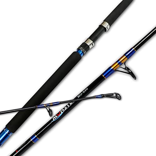 Fiblink Jigging Spinning Rod 1-Piece Saltwater (50-80lb, 6 Feet, Heavy) New