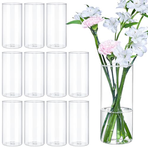 TBWIND 12pcs 8 Inch Clear Glass Cylinder Vases,-NEW New