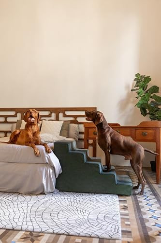 NOAH & PAW DOG STAIRS FOR LARGE DOGS, UP TO 150LB WIDE DOG RAMP, 5-STEP - GREEN