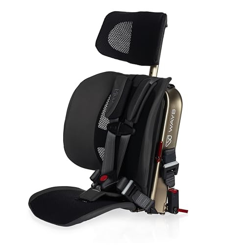 WAYB Pico Travel Car Seat Lightweight, Portable, Foldable - Earth New