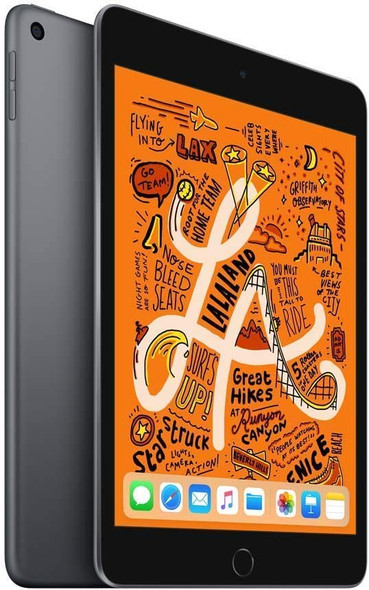 APPLE IPAD MINI 7.9" 5TH GENERATION 256GB WIFI MUU32LL/A - SPACE GRAY