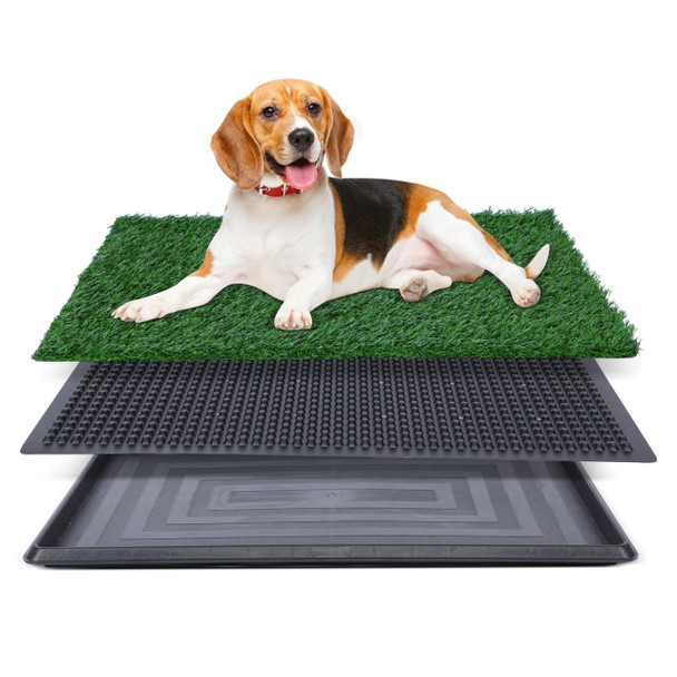 GLOWPTPADXGRASS2030 FLUFFYDREAM ARTIFICIAL GRASS DOG POTTY 20X30" - BLACK/GREEN
