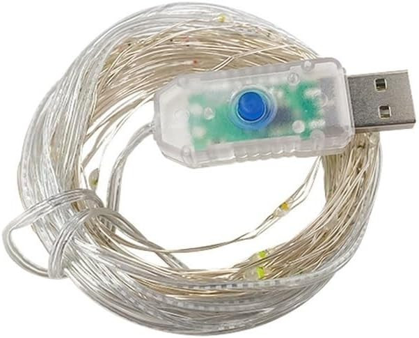 GENERIC HHF LED STRIPS LED LIGHT OUTDOOR (COLOR : 10M POWERED BY USB, RGB)