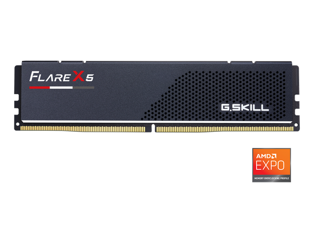 G.SKILL Flare X5 8GB 288-Pin PC RAM DDR5 6000 (PC5 48000) Desktop Memory Model