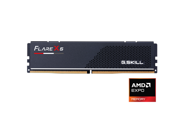 G.SKILL Flare X5 8GB 288-Pin PC RAM DDR5 6000 (PC5 48000) Desktop Memory Model