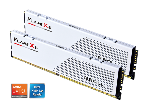 G.SKILL Flare X5 64GB (2 x 32GB) 288-Pin PC RAM DDR5 6000 (PC5 48000) Desktop