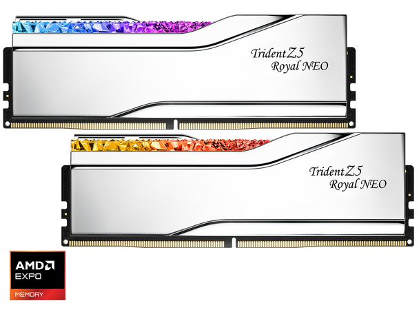 G.SKILL Trident Z5 Royal Series 32GB (2 x 16GB) 288-Pin PC RAM DDR5 6400 (PC5