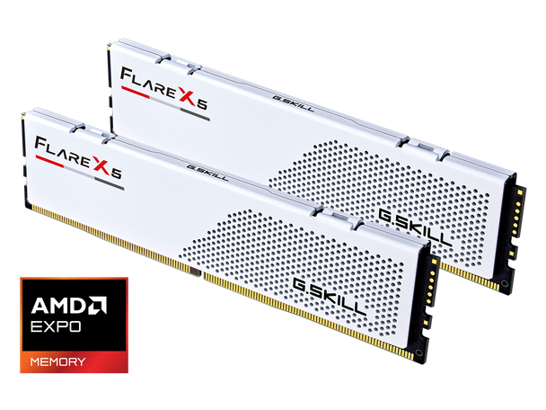 G.SKILL Flare X5 64GB (2 x 32GB) 288-Pin PC RAM DDR5 6000 (PC5 48000) Desktop