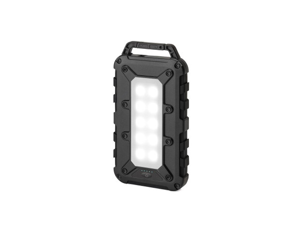 Lion Energy - Lion Cub Portable Power Bank for phone, earbuds, tablets -