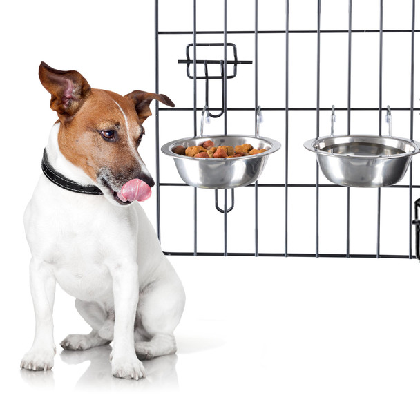 Set of 2 Stainless-Steel Dog Bowls Food and Water 8oz Each PETMAKER, Silver