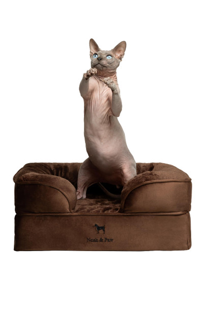 NOAH & PAW Small Dog Bed, 20x15x8 Inch, Cat Bed, Orthopedic Eggshell Memory Foam New