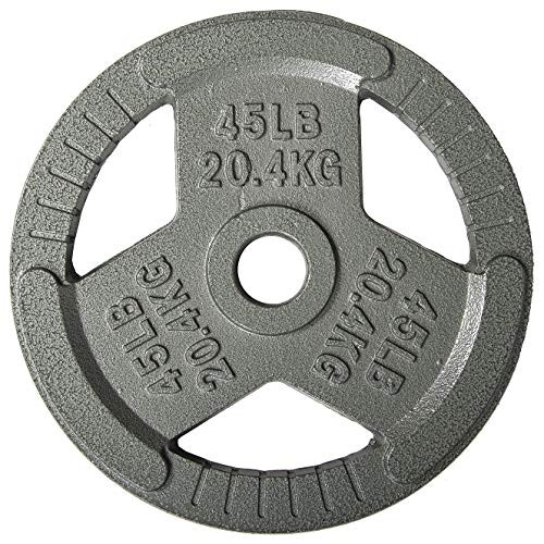 FITVIDS CAST IRON 1" STANDARD WEIGHT PLATES 45LBS - GRAY