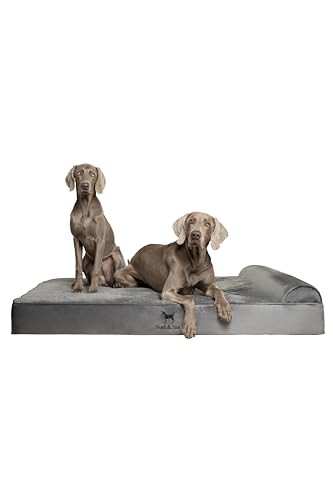 CL-VE-GRY NOAH & PAW Velvet Collection Giant Dog Bed Orthopedic 2XL Grey