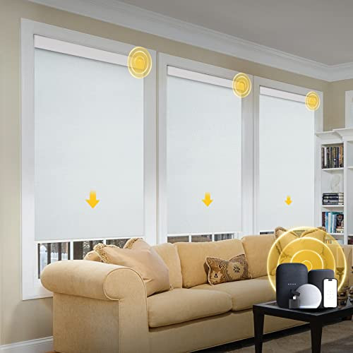 CITOLEN Motorized Blinds with Valance Cover Smart Electric Roller Shades - White